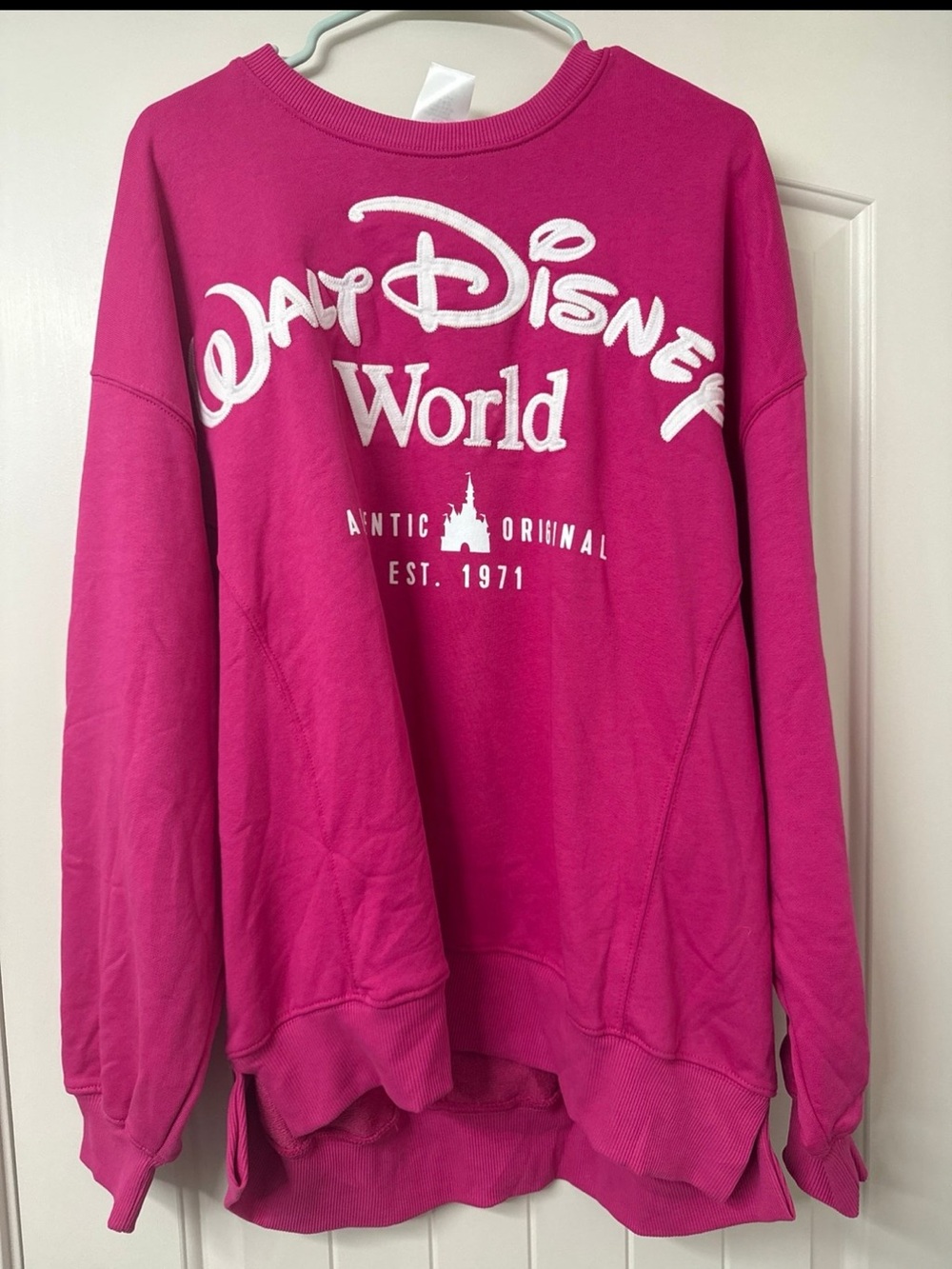 Disney Parks Sweatshirt
